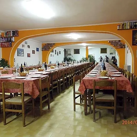 Pagoda فندق